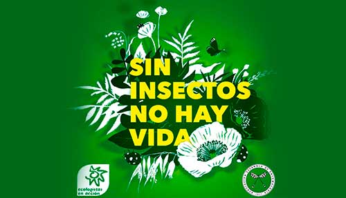 Acto de presentación de la campaña «Sin insectos no hay vida» organizada por Ecologistas en Acción y la Asociación española de Entomología