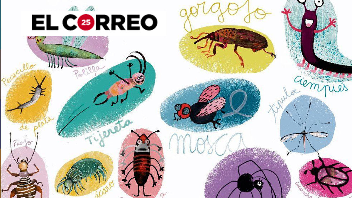 Entrevista a nuestro consocio Raimundo Outerelo en El Correo, dentro del artículo «Nuestros pequeños compañeros de piso: cucarachas, arañas, ácaros, gorgojos...»