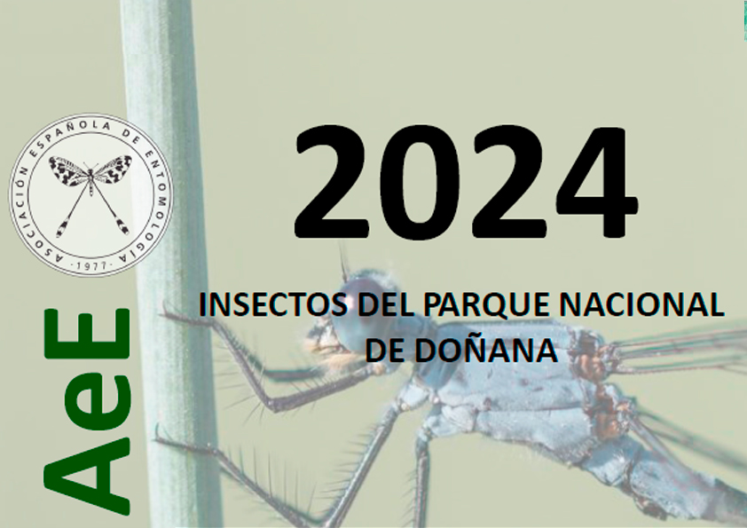 Calendario AeE 2024: Insectos del Parque Nacional de Doñana