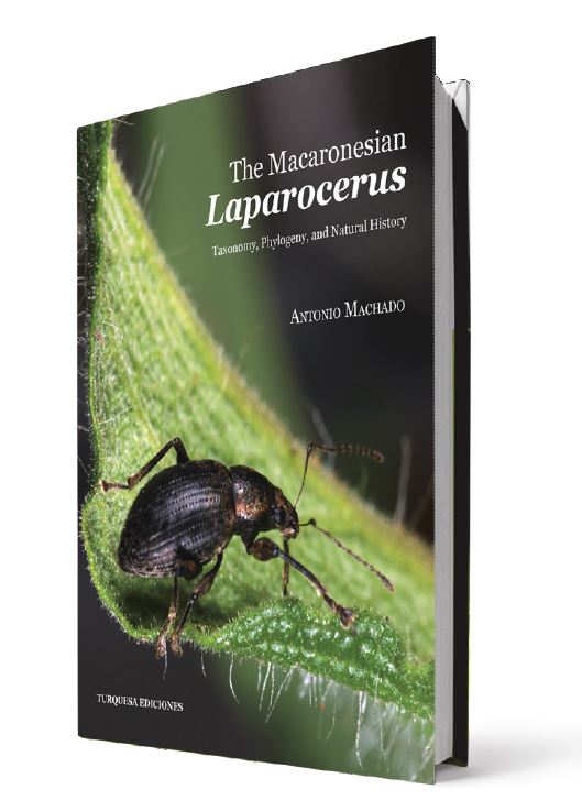 The Macaronesian LAPAROCERUS. Antonio Machado
