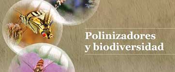 Informe técnico Proyecto Apolo: Polonizadores y Biodiversidad